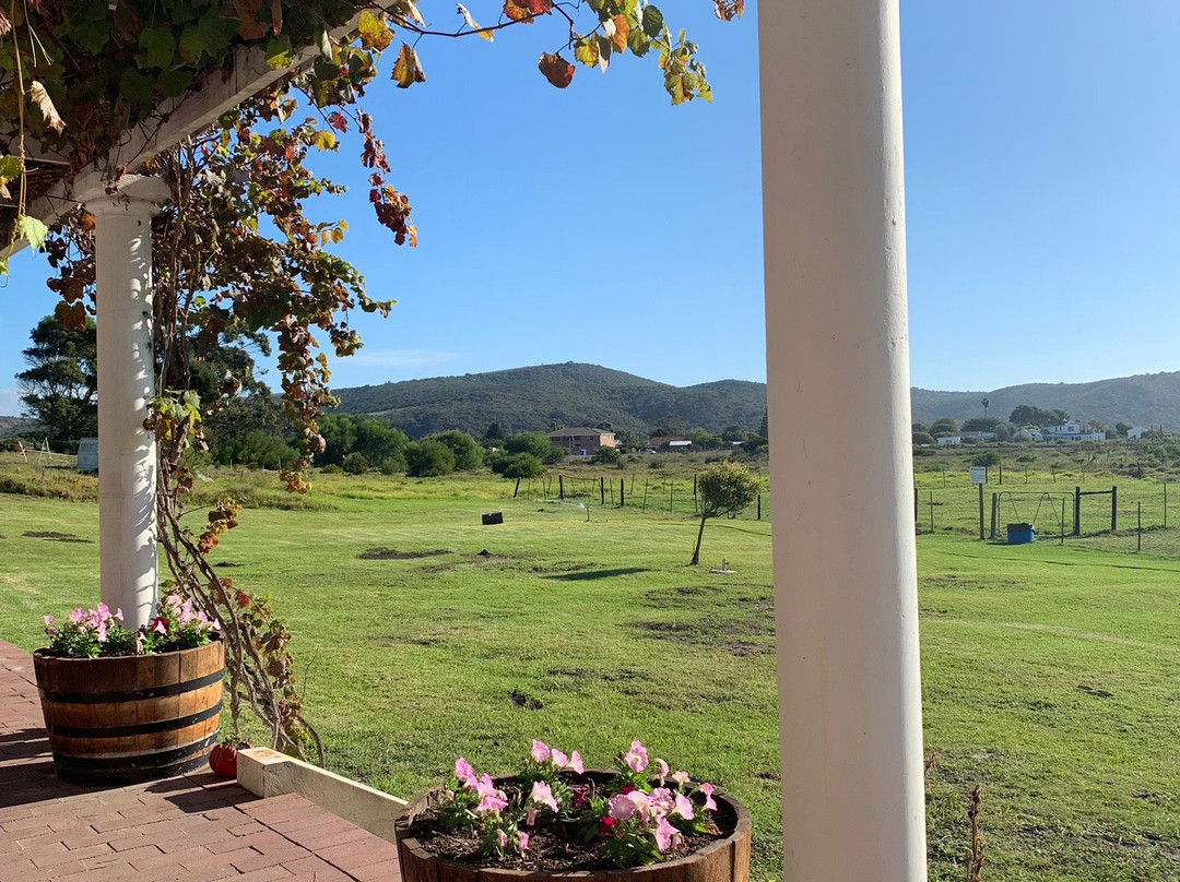 Boplaas Garden Route Tasting Room-克莱恩布拉克河必去景点