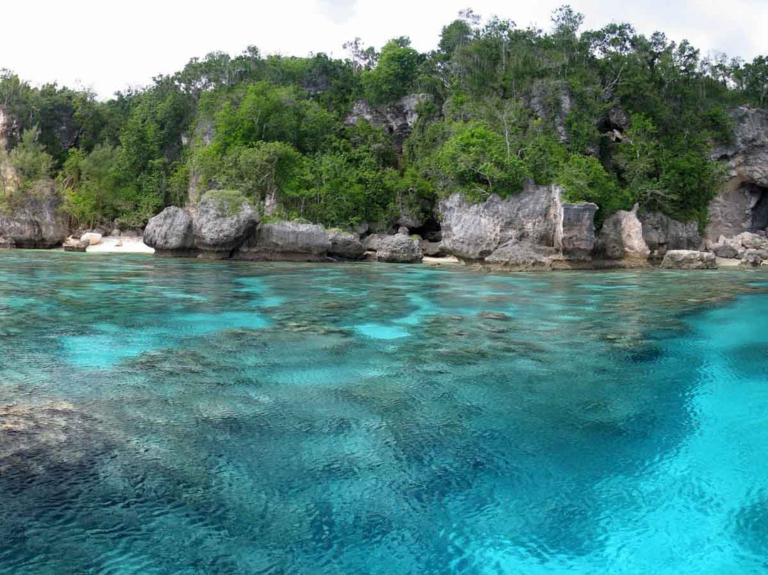 South Pacific Cruises - Coongoola Day Cruise景点图片