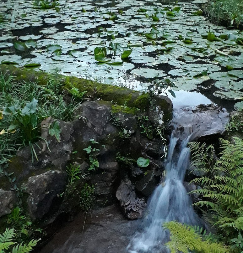 Makaranga Lodge主图