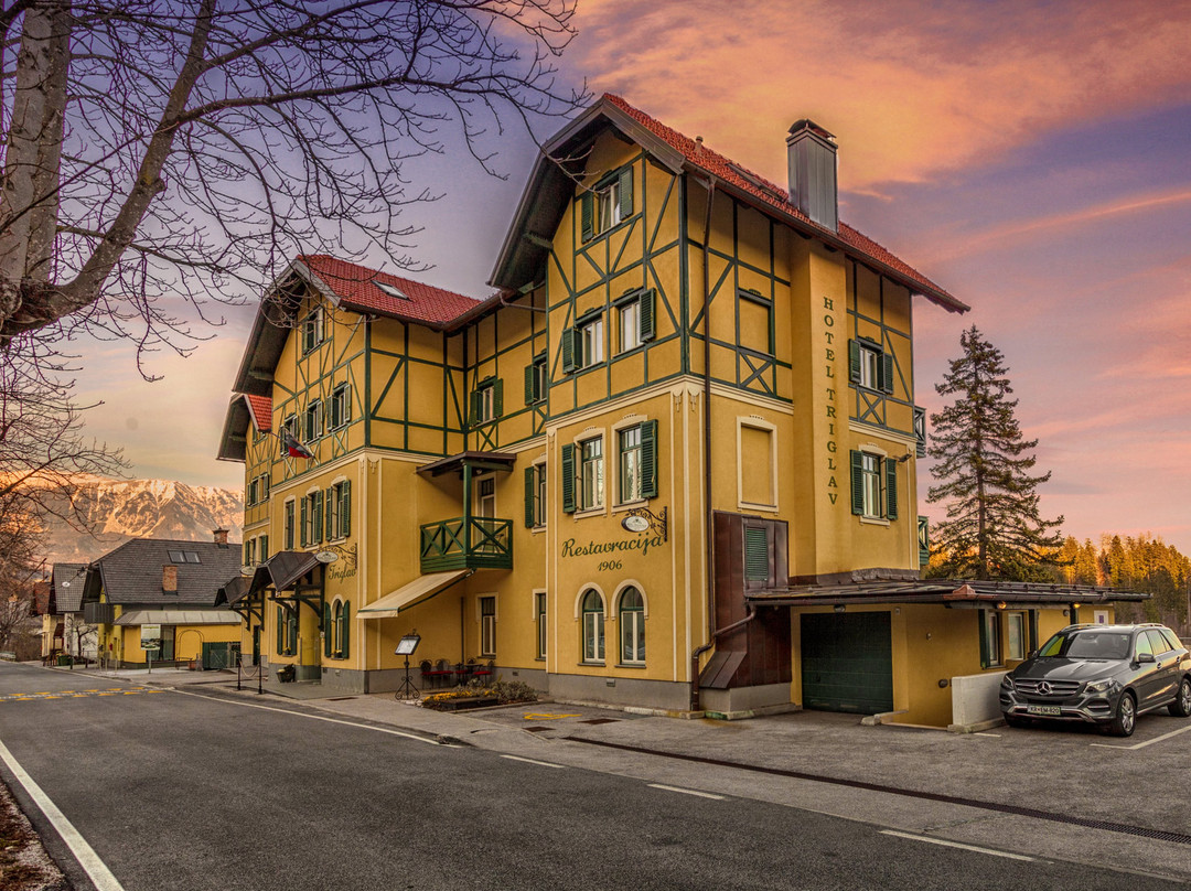 Hotel Triglav Bled主图