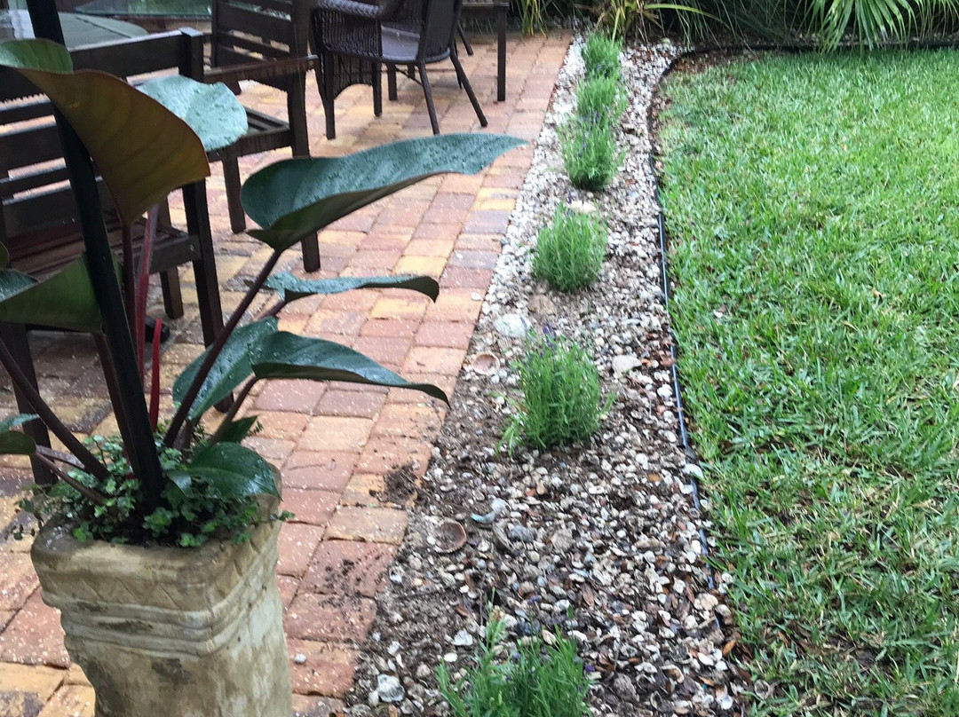 Leonardi's Nursery Landscaping景点图片
