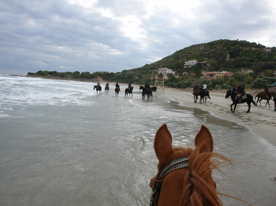 Centro Equestre Taloro-Fonni必去景点
