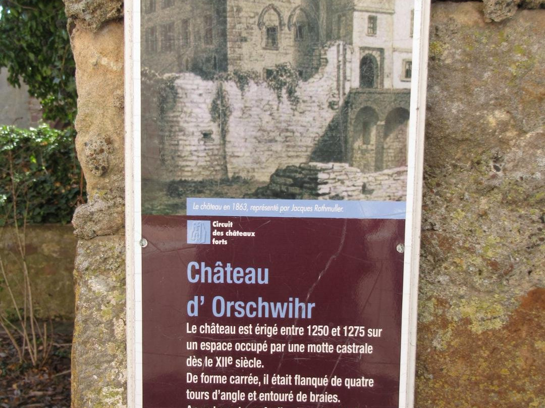 Chateau d'Orschwihr景点图片