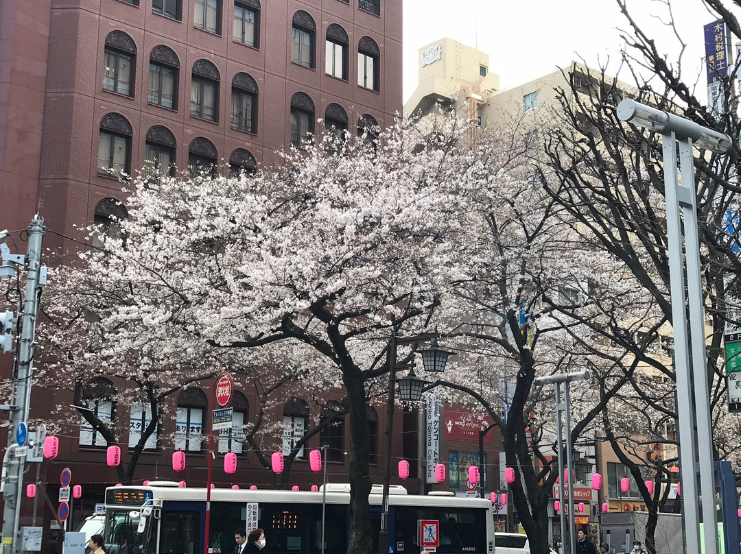Nakano Street-中野区必去景点
