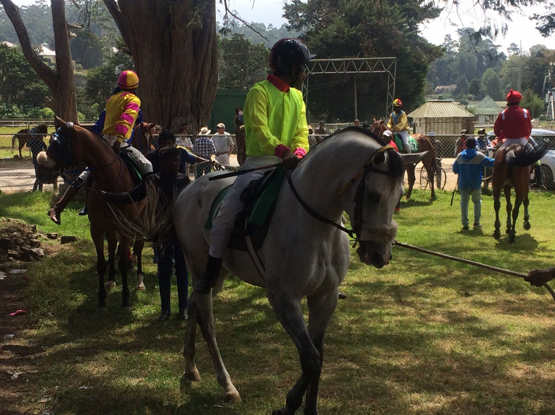 Royal Turf Club-奴娃拉伊利雅必去景点