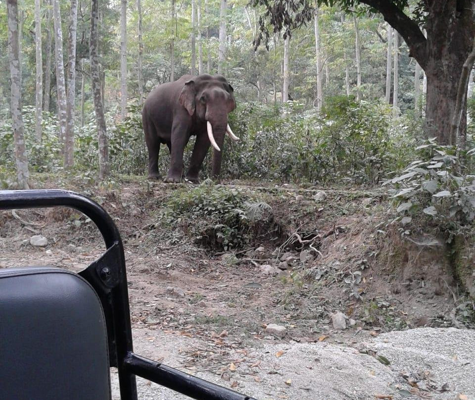 Jim Jungle Explore Safari-Dhikuli必去景点