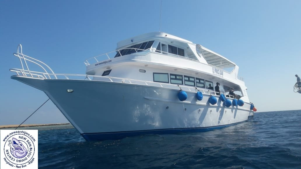 纽孙比秀潜水中心-赫尔格达必去景点