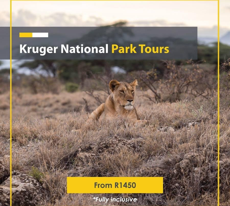 Safari Link Southern Africa景点图片