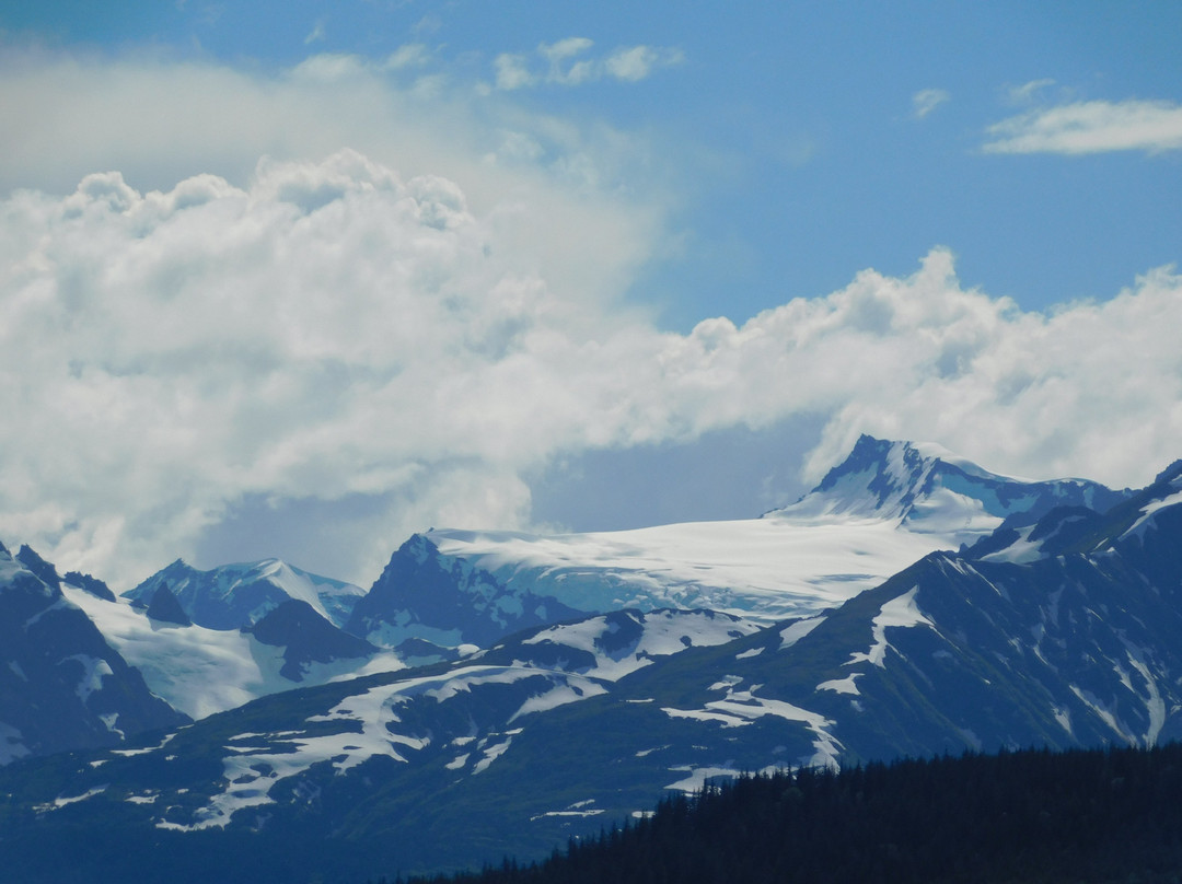 Glacier Point Wilderness Safari景点图片