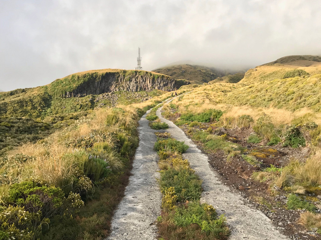 Mount Taranaki景点图片