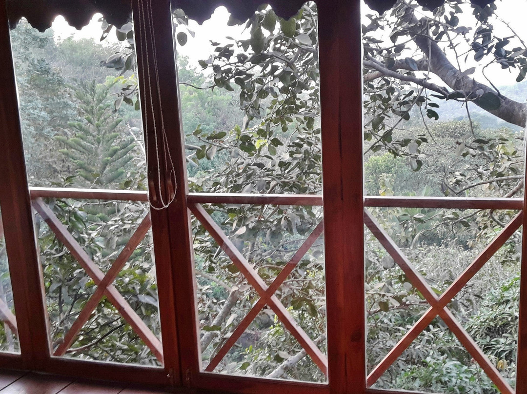 Amrutes' Nisarga Sahavas主图