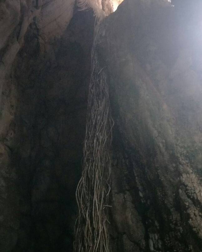Khao Pun Cave景点图片
