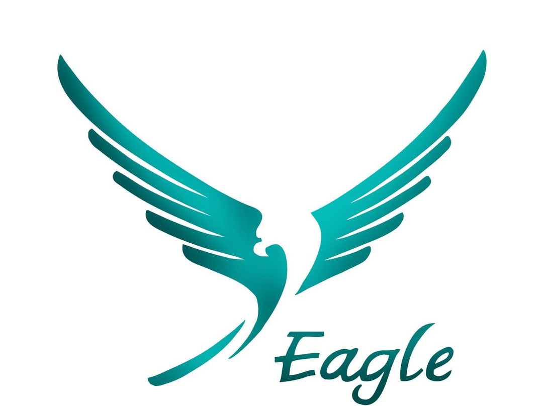 Falcon Boat-维尔巴札拉必去景点