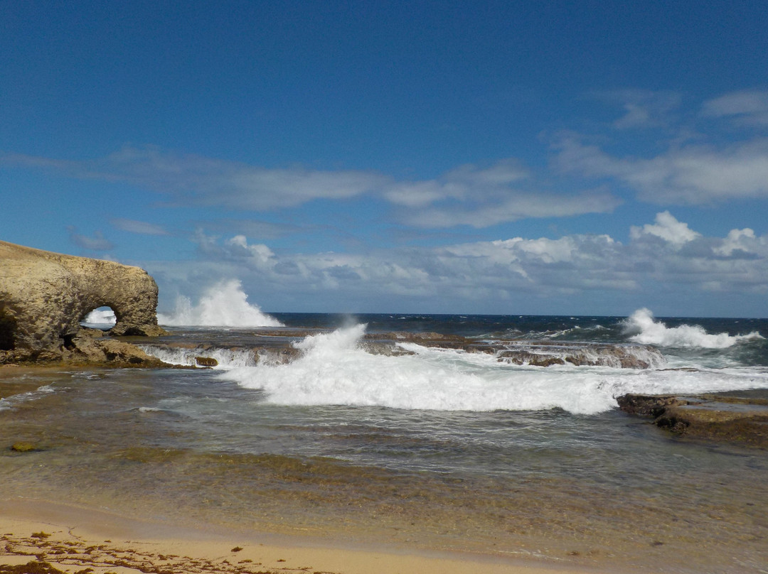 Little Bay-Saint Lucy Parish必去景点