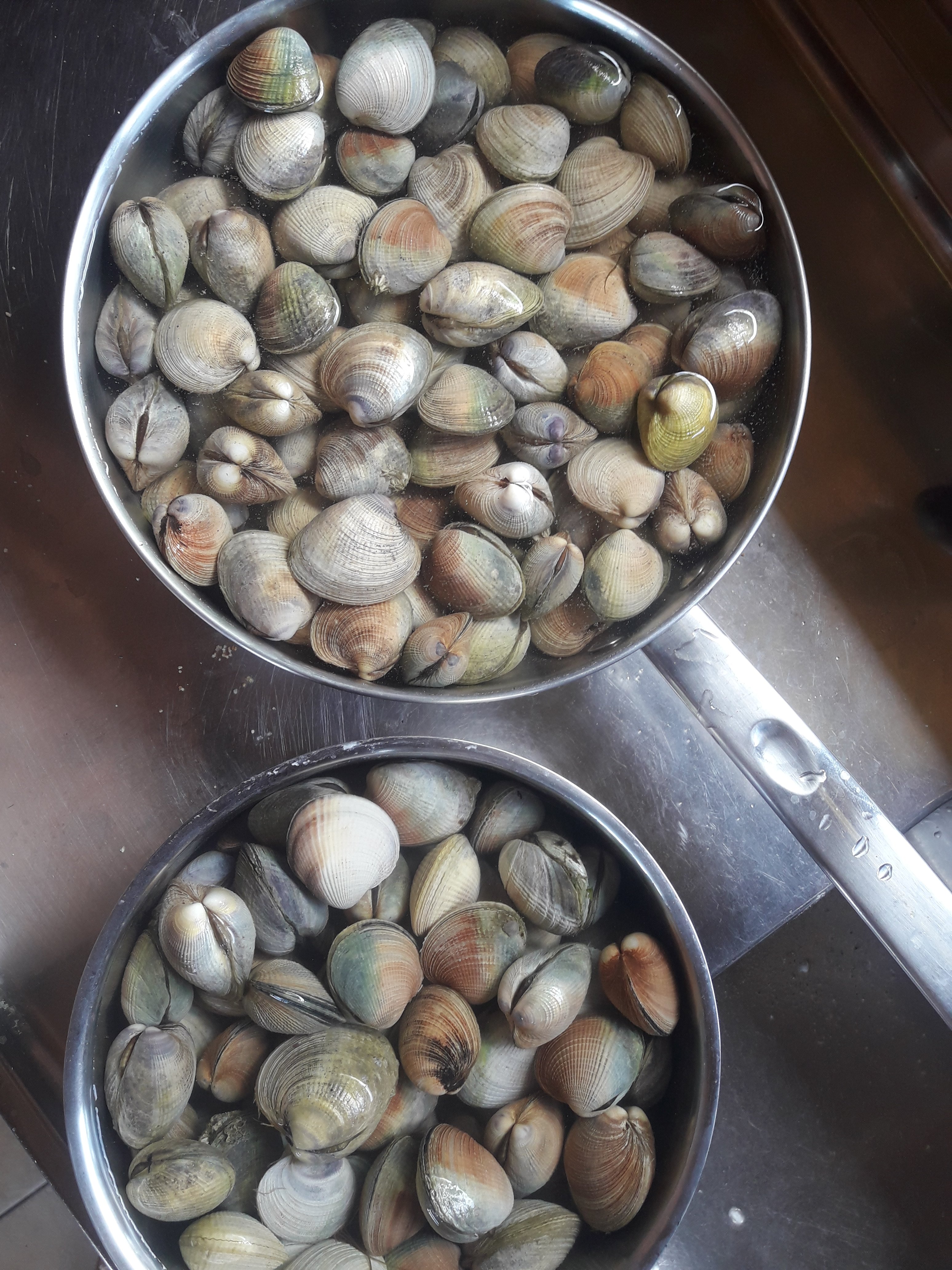 Abel Tasman Ocean View Chalets-餐饮