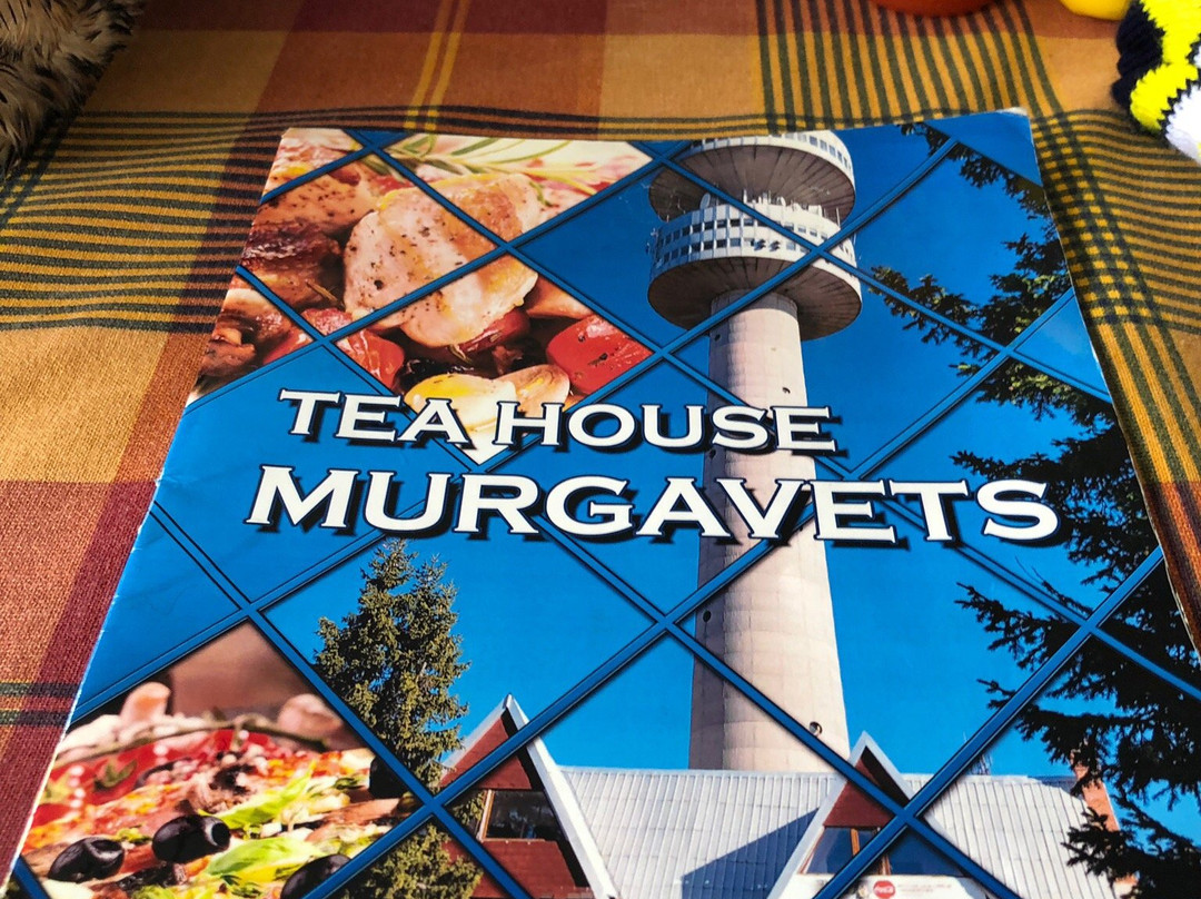 拉普兰酒店主图