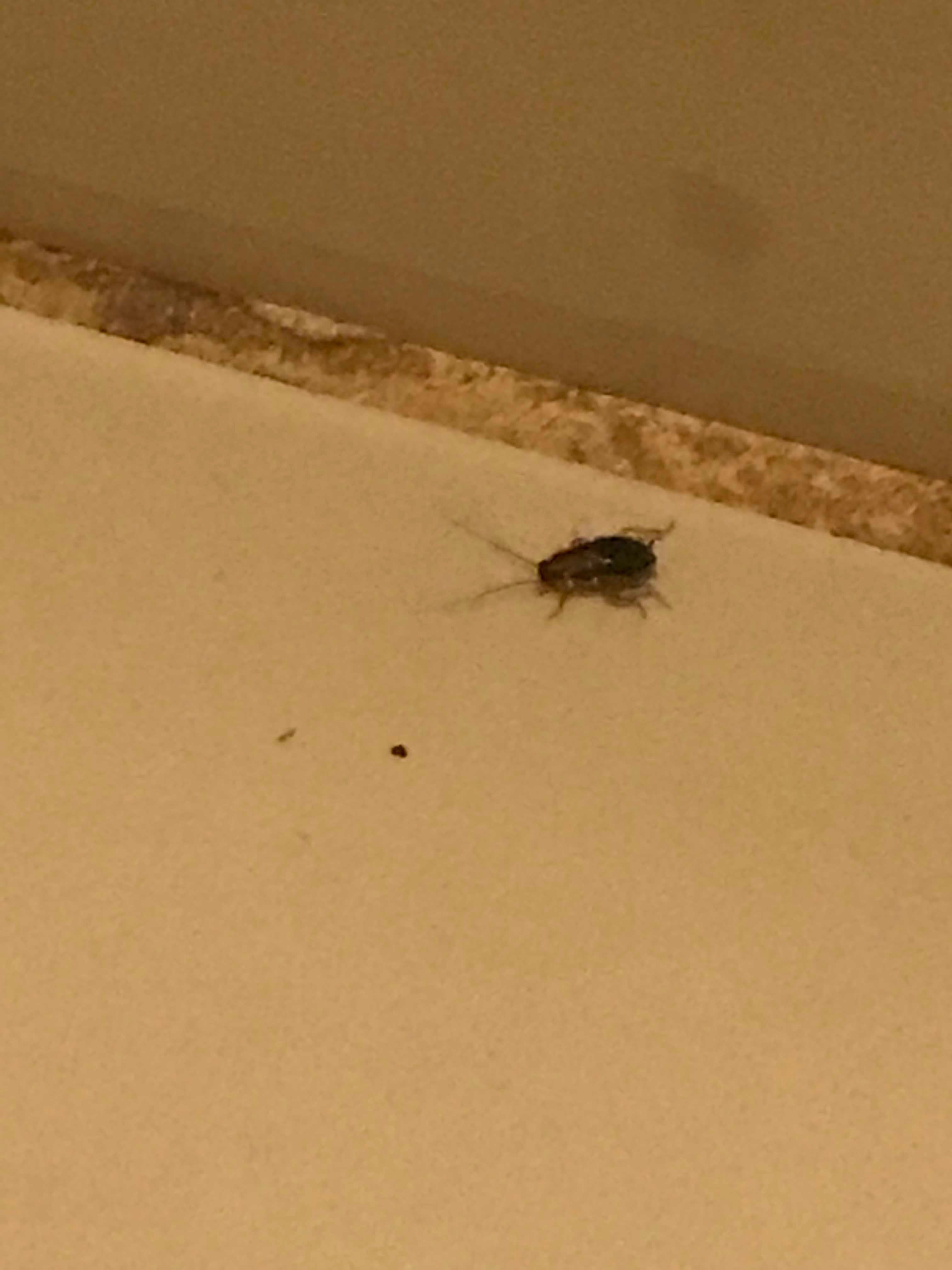 Comfort Suites Newport News Airport-浴室