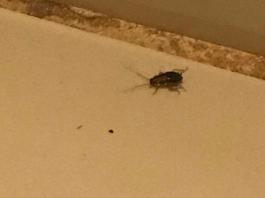 Comfort Suites Newport News Airport主图