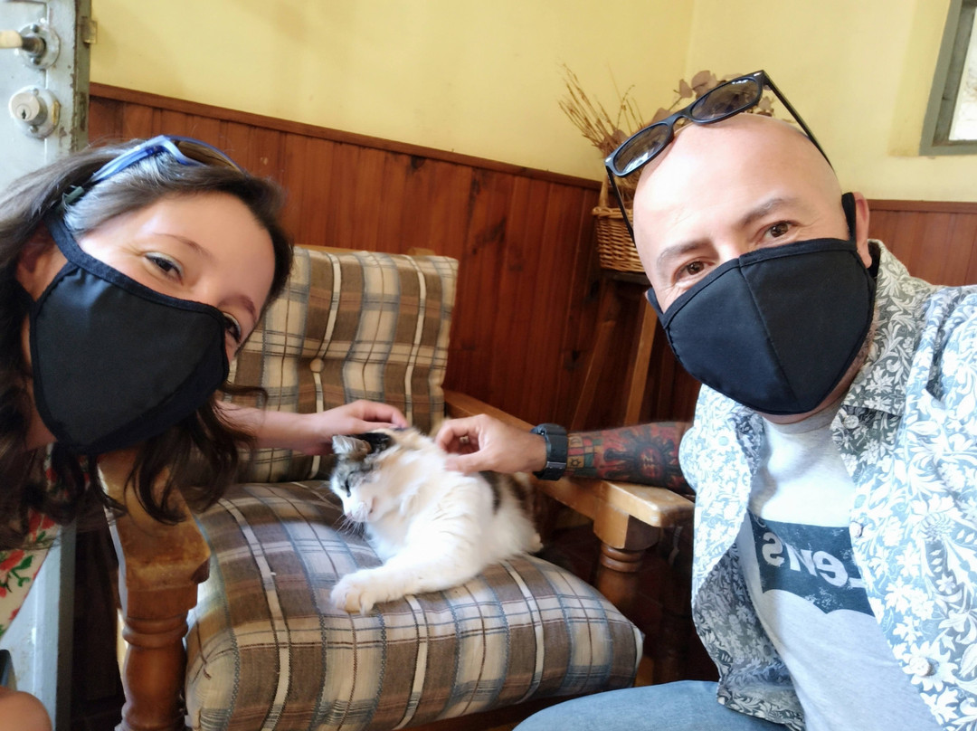 Sociedad Italiana Progenie D'Italia