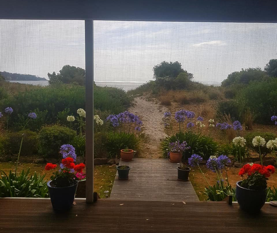 海滩竖琴手酒店主图