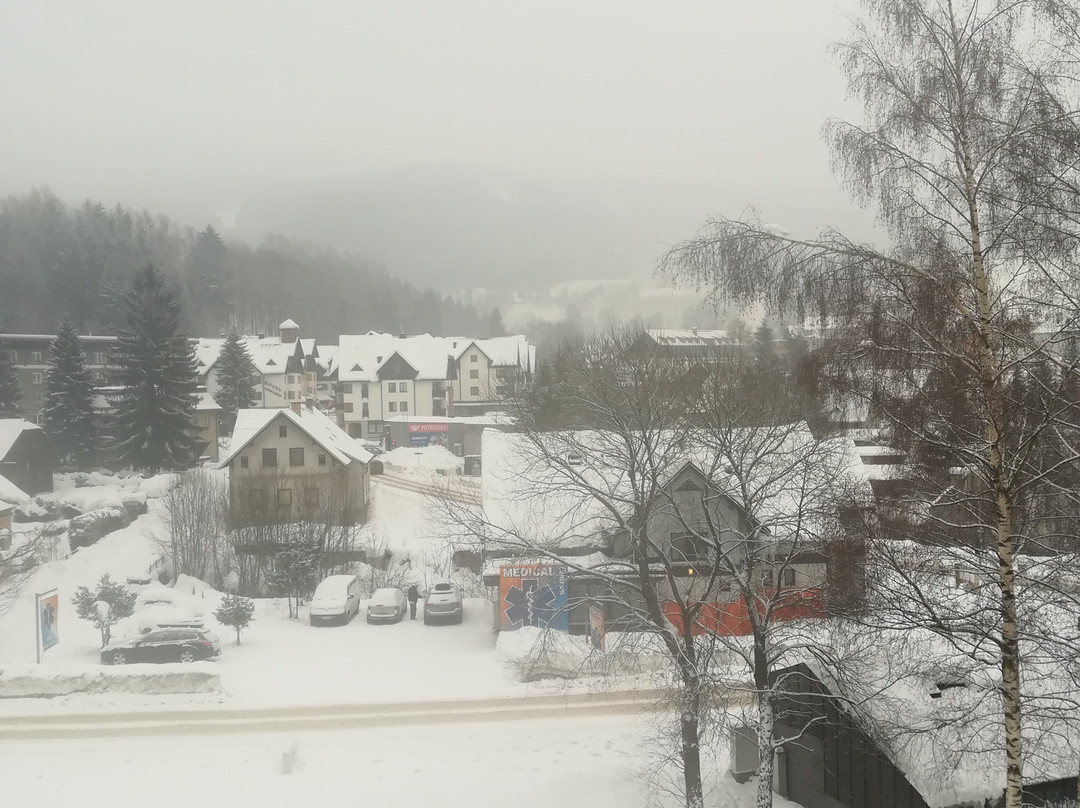 Garni Hotel Horske Spicky主图