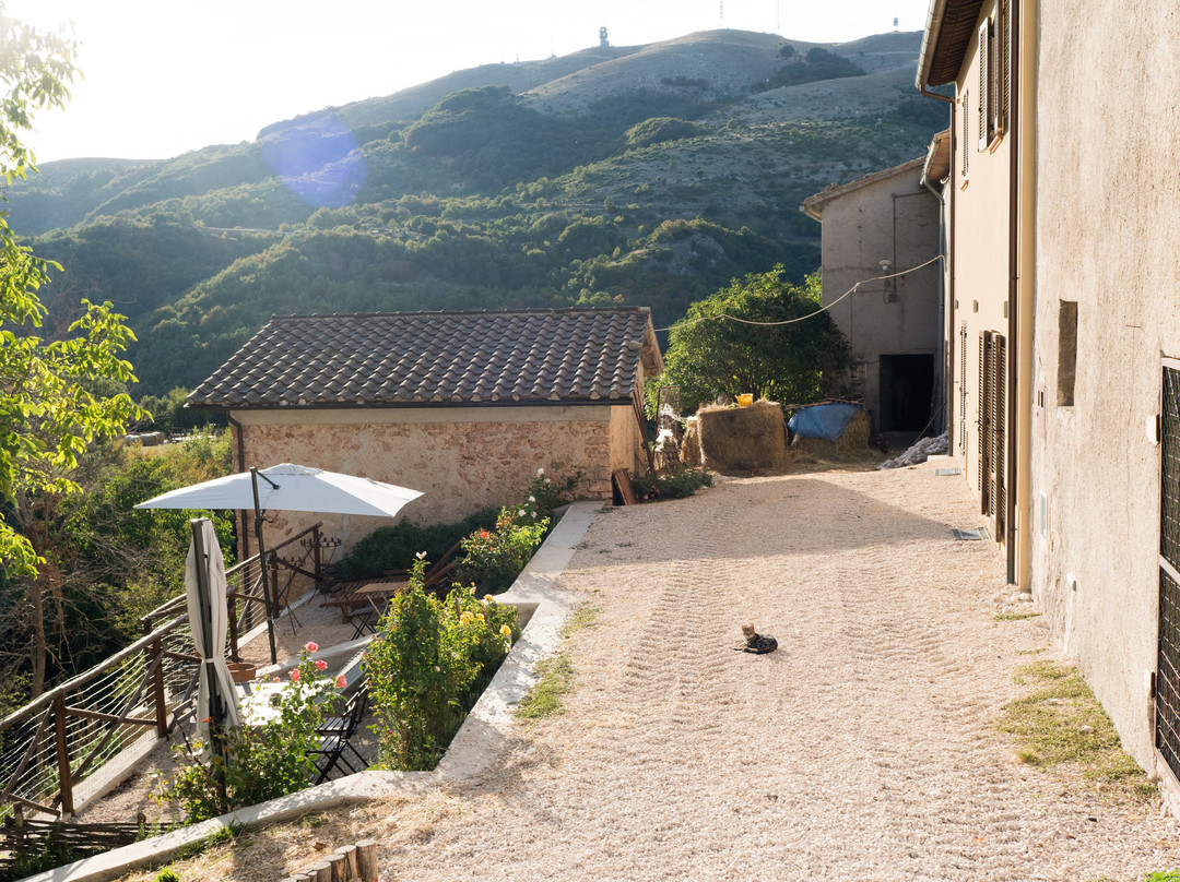 The Black Truffle Lodge主图