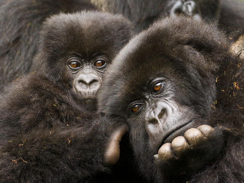 Shanrod Africa-坎帕拉必去景点