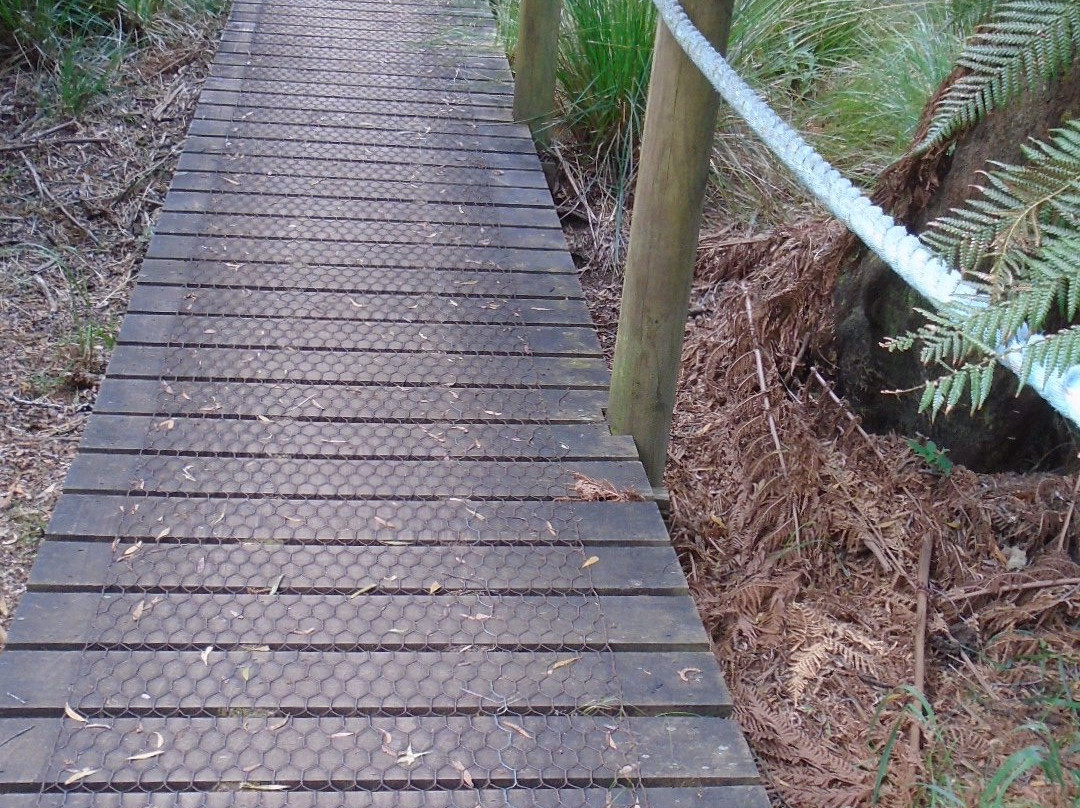 Preston Falls-Ulverstone必去景点