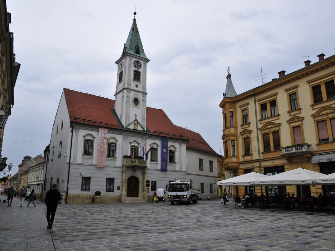 Town Hall Varazdin景点图片