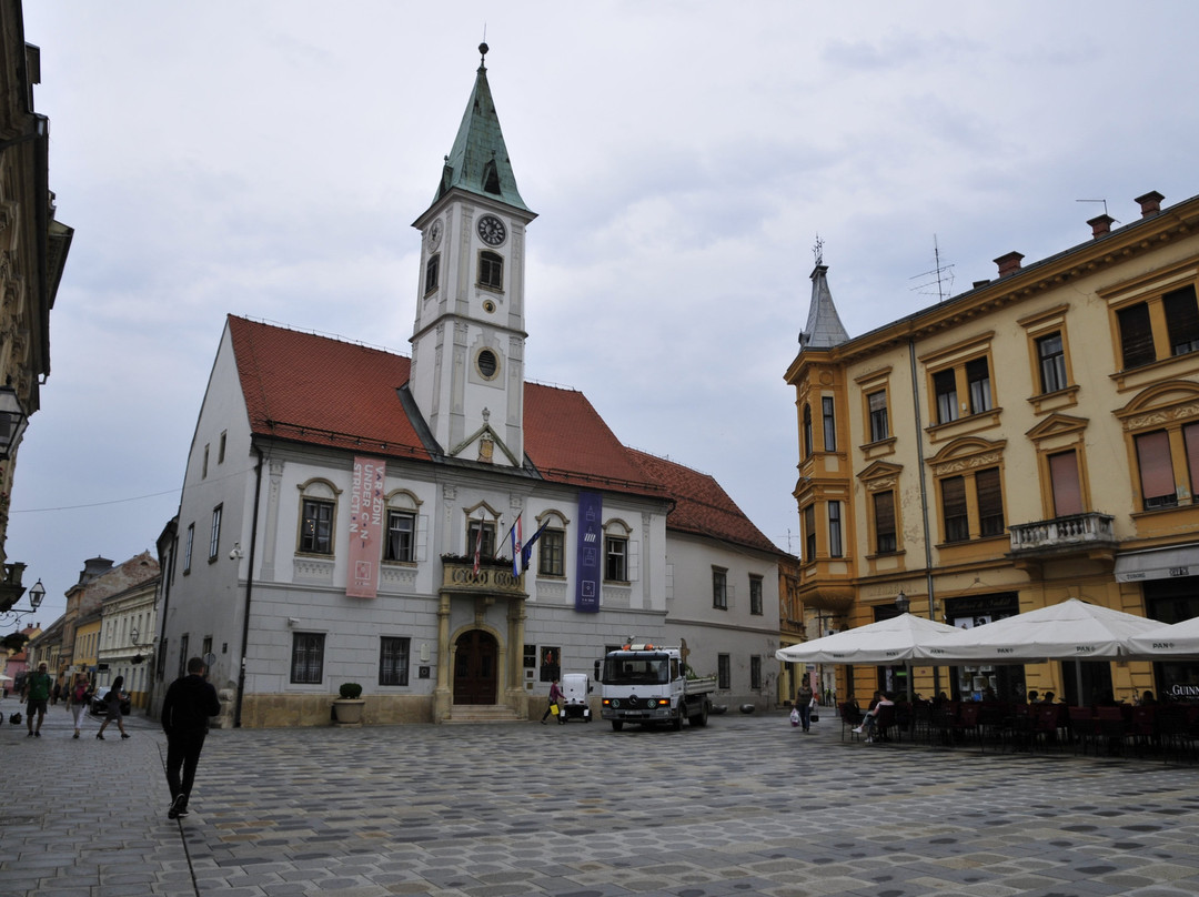 Town Hall Varazdin景点图片