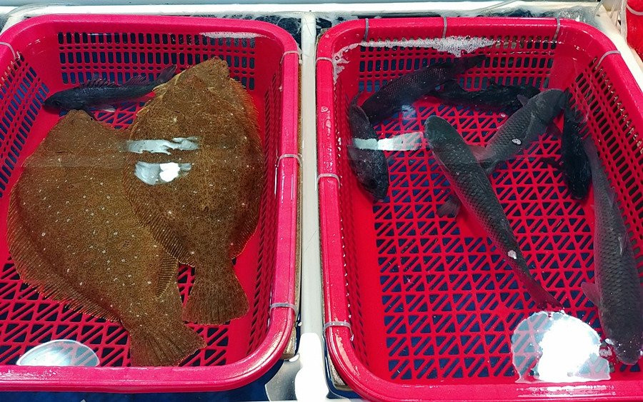 Sam Suhyup-泗川市必去景点