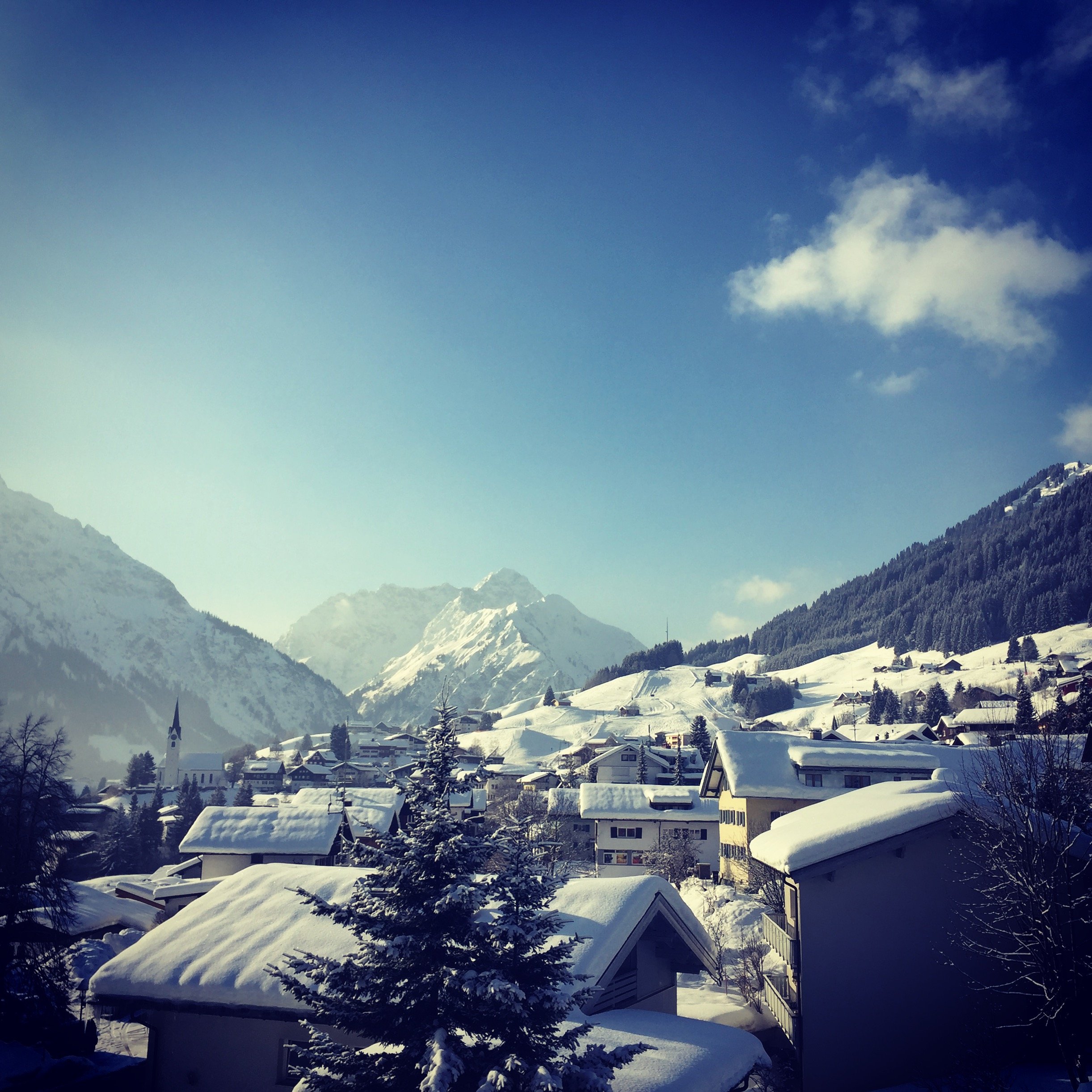 Hotel Der Berghof-官方