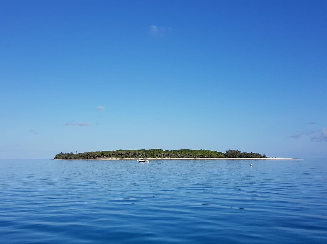 Capricornia Cays National Park-Gladstone必去景点