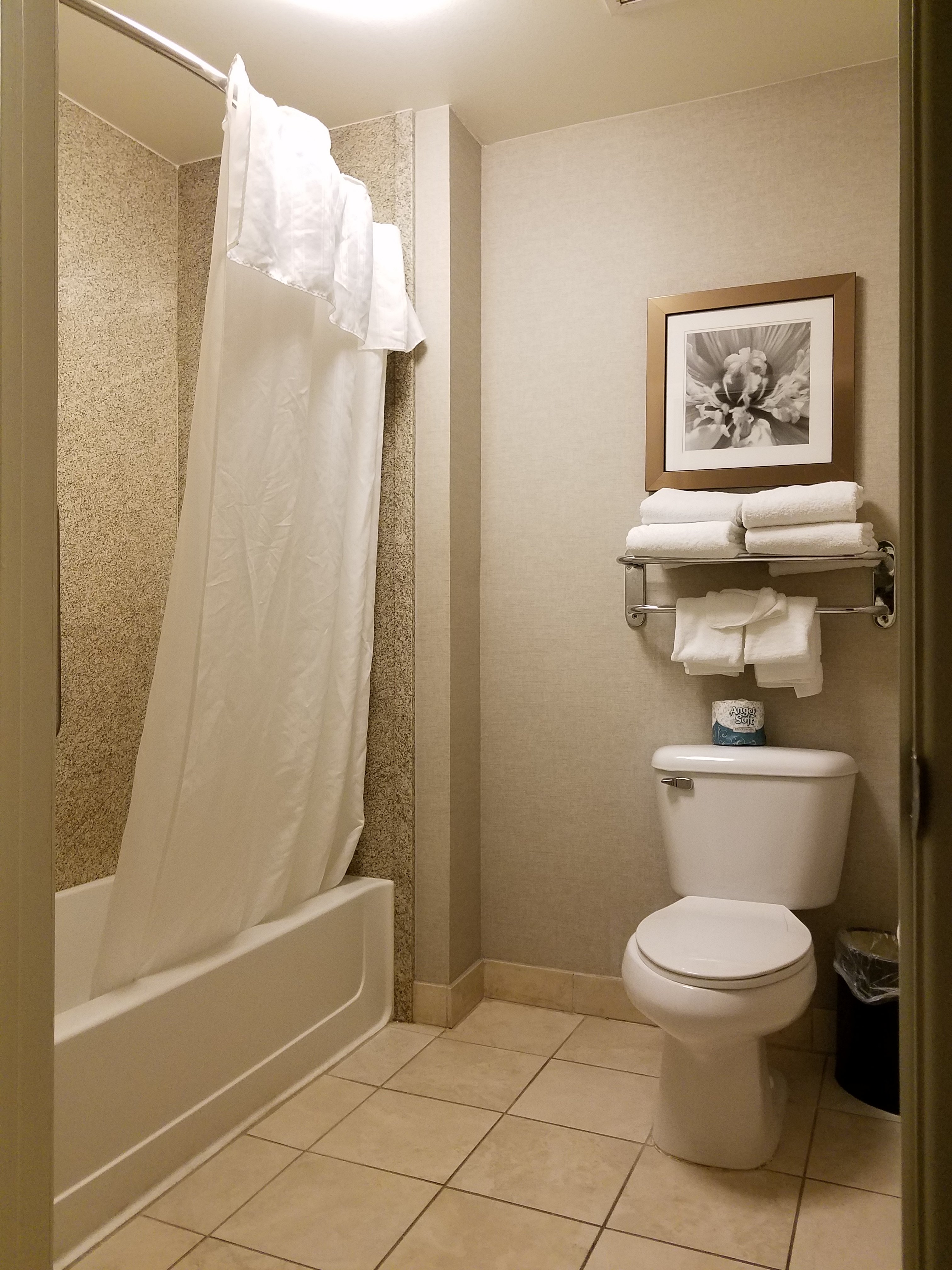 Homewood Suites by Hilton Phoenix-Avondale-浴室