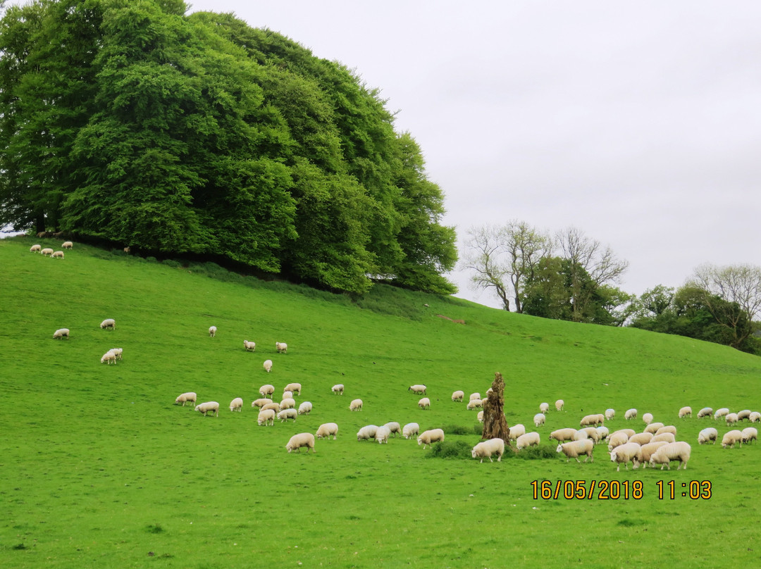 Dinefwr景点图片