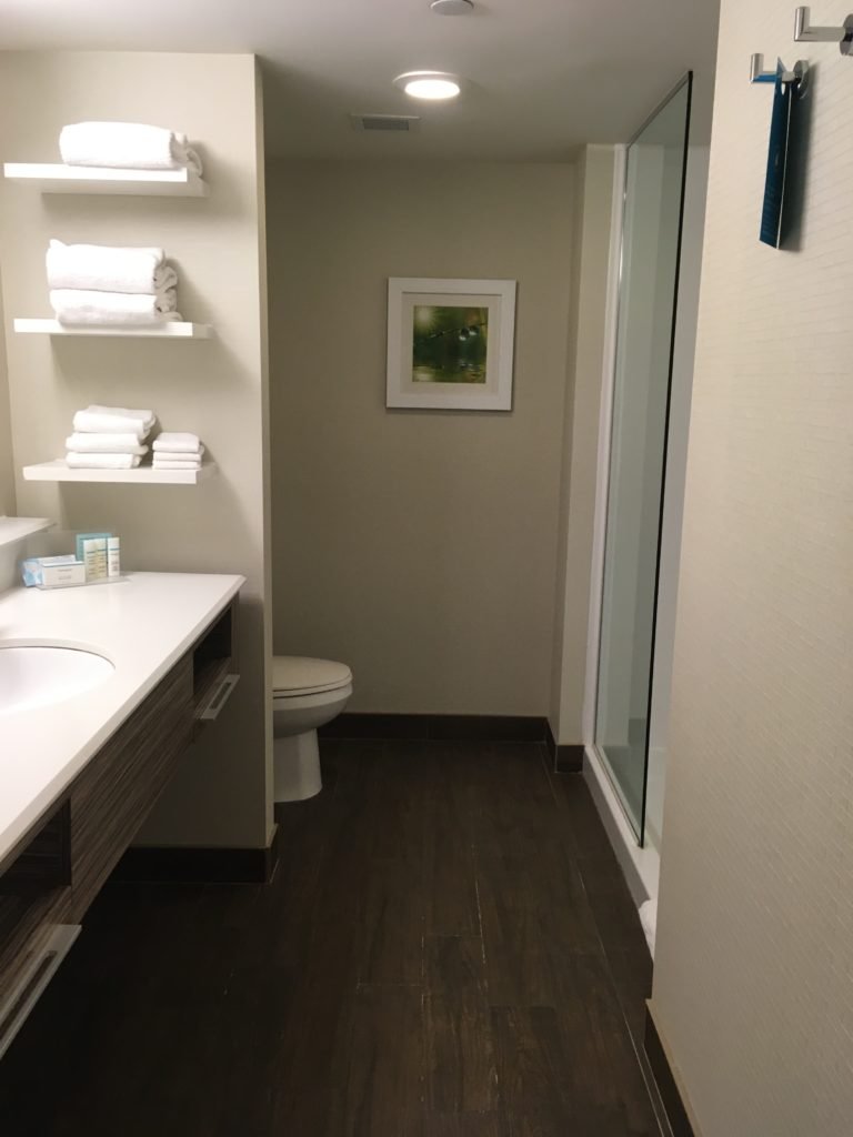 Hampton Inn By Hilton Sarnia-浴室