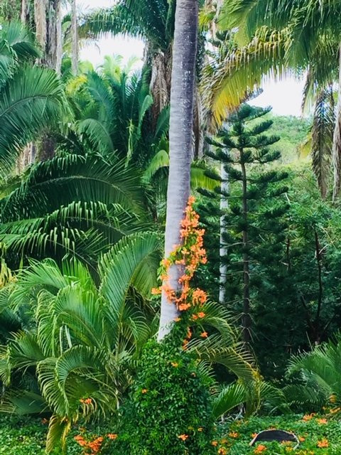 Hacienda de la Costa主图