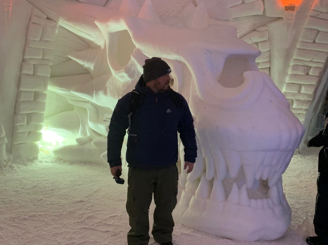 Lapland Hotels SnowVillage景点图片