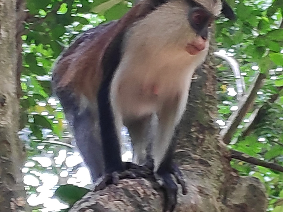 Uprise Travel-Tamale必去景点