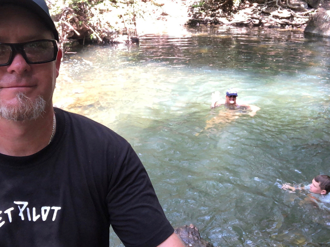 Cardwell Forest Drive-卡德威尔必去景点