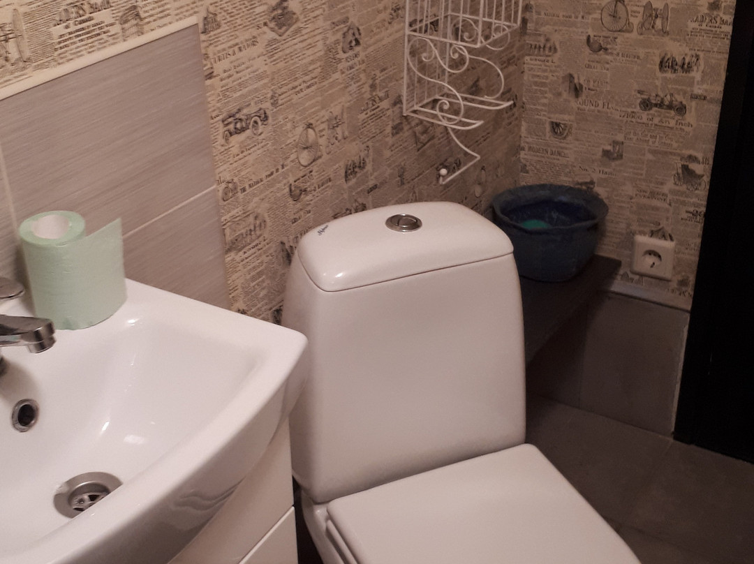 Videviku Guesthouse主图