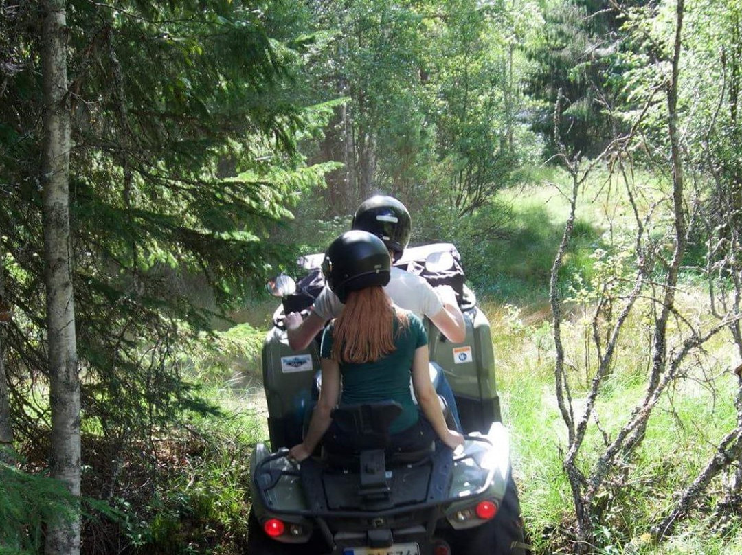 Quad Safari Sweden-Torsby必去景点