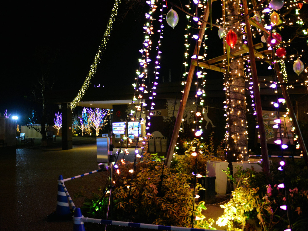 Wonder Forest Curio-常滑市必去景点