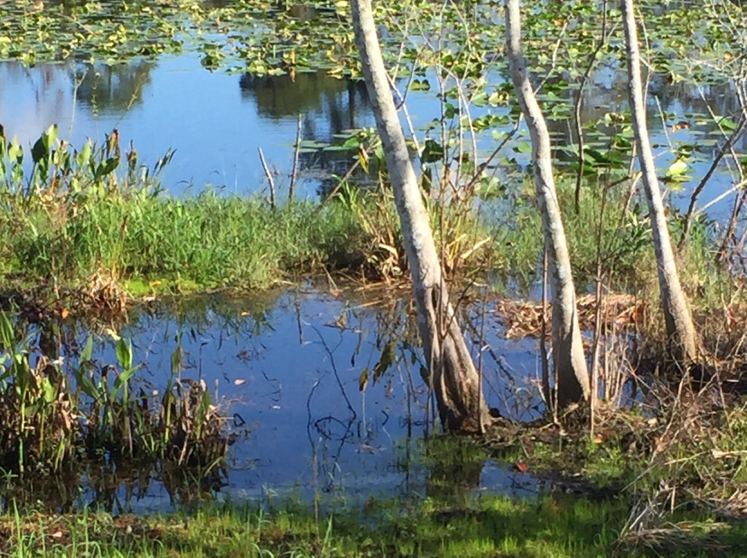 Secret Lake Park-卡塞尔伯里必去景点