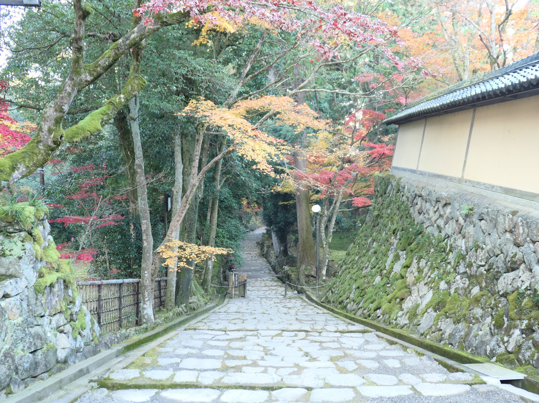 Saimyo-ji Temple Omotesando-甲良町必去景点