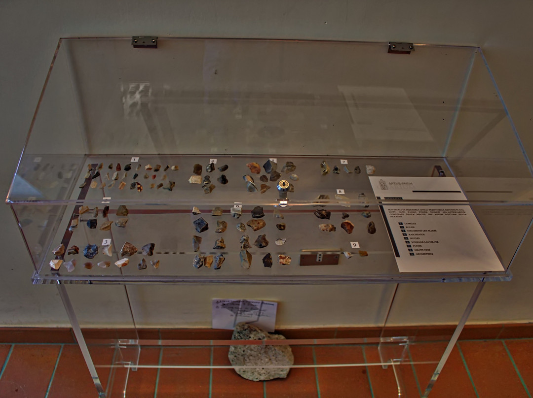 Antiquarium Comunale景点图片