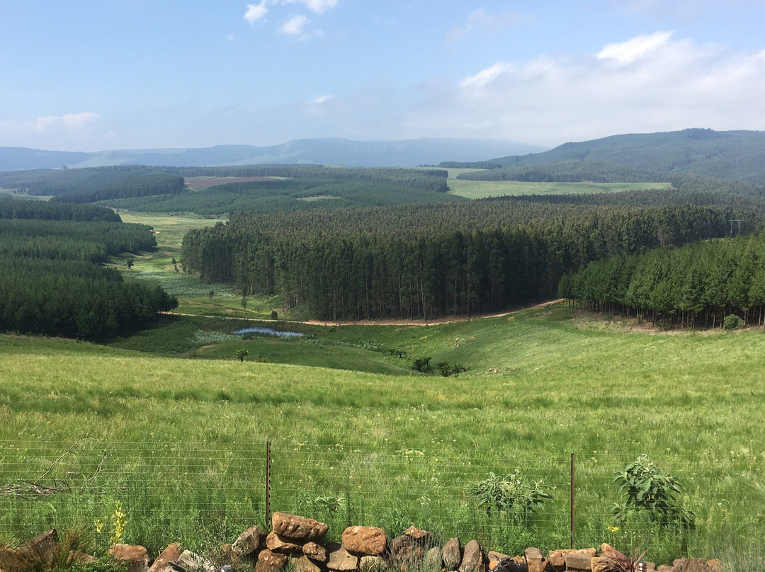 Curry's Post B&B主图