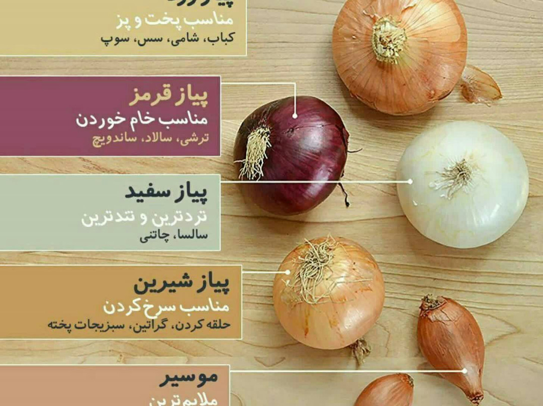 Ghasralziafe Hotel主图