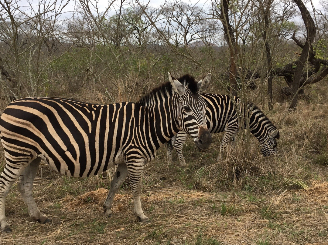 Panorama Pedals-参宁必去景点