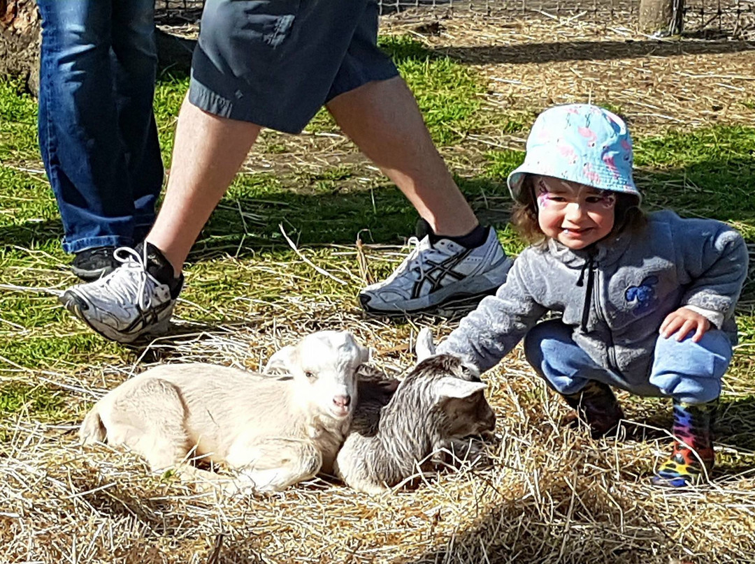 Arion Farm Education Park景点图片